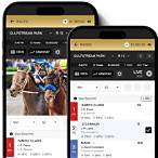 how to put a bet on a horse